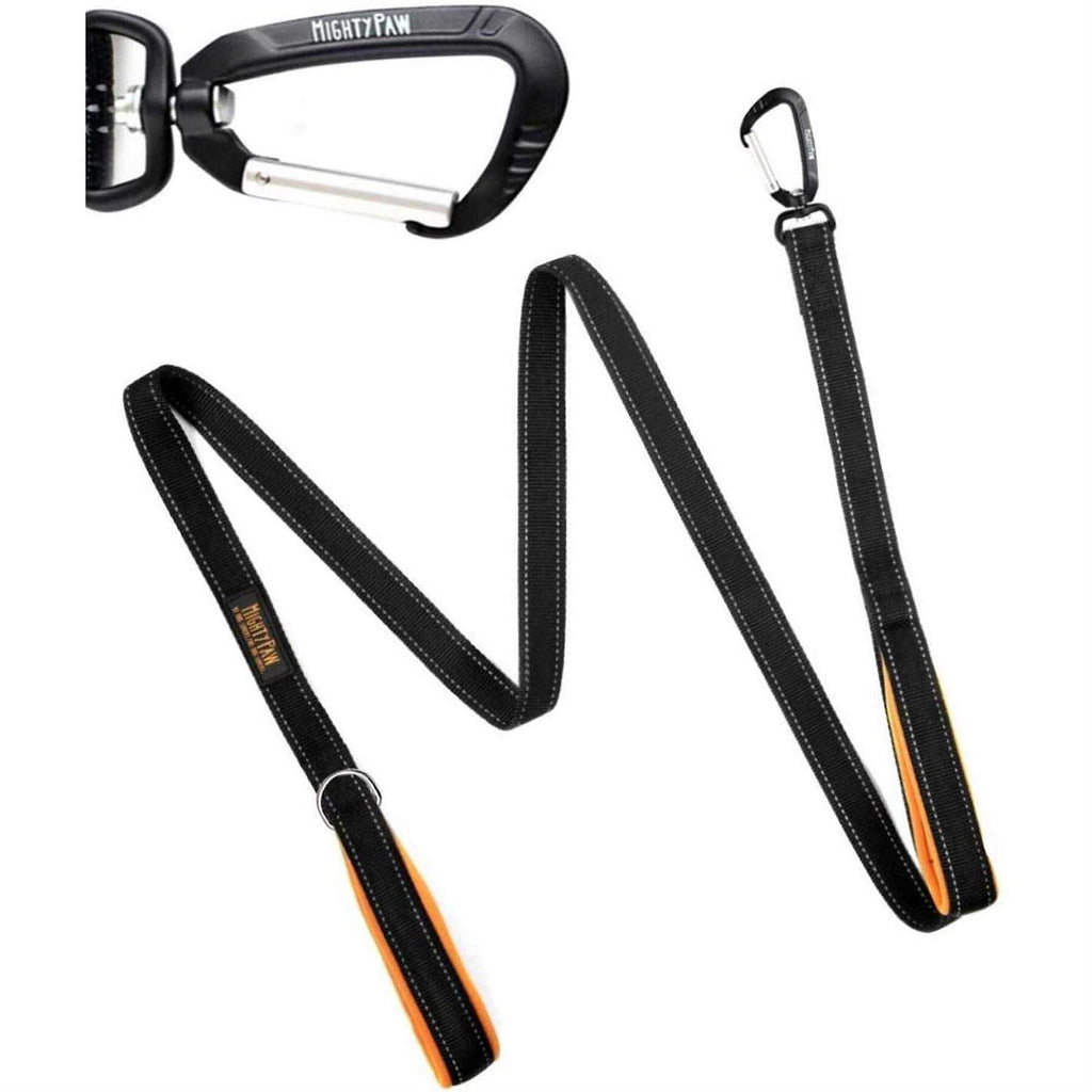 Dual Handle Dog Leash C925