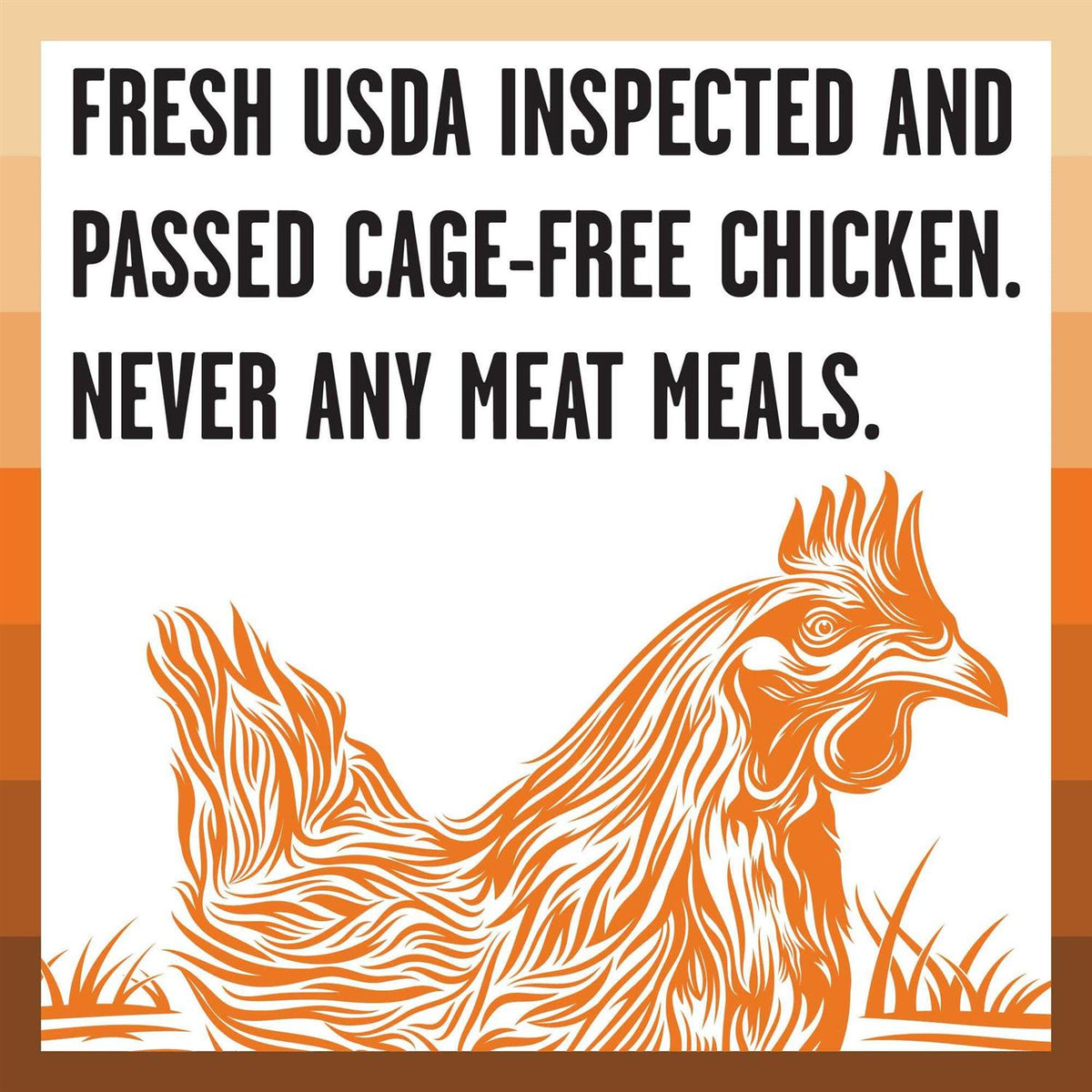 Chicken Recipe Dry Dog Food P3598