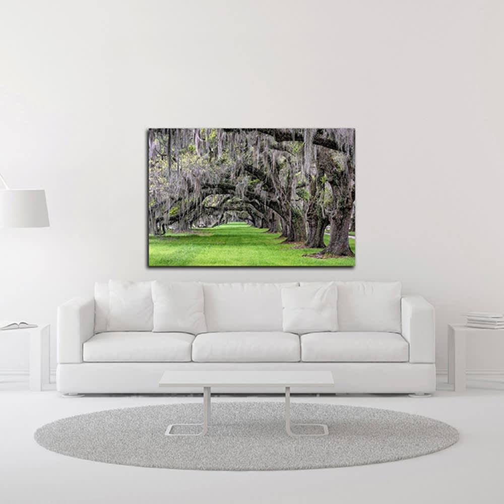 24x22 x 36x22 Print on Canvas O11539