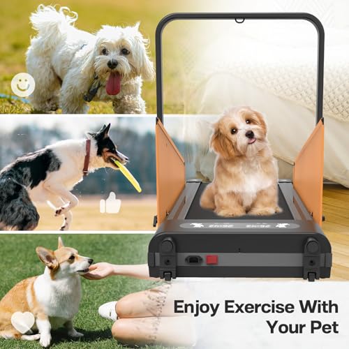 Pet Dog Running Machine with Remote Control J814656