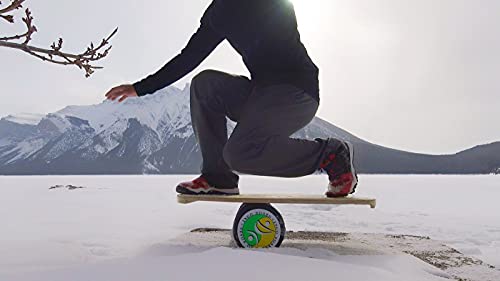 Original Training Package Balance Board with Deck, Roller, Cushion and Exercise Poster A1172
