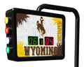 Electronic Shuffleboard Scoring Unit D99670
