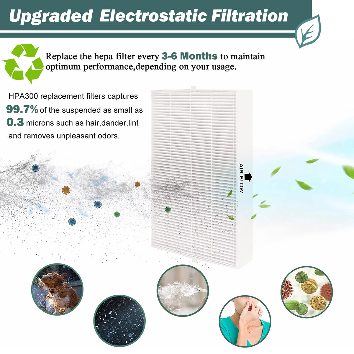 True HEPA Air Purifier Filter R Replacement A284998