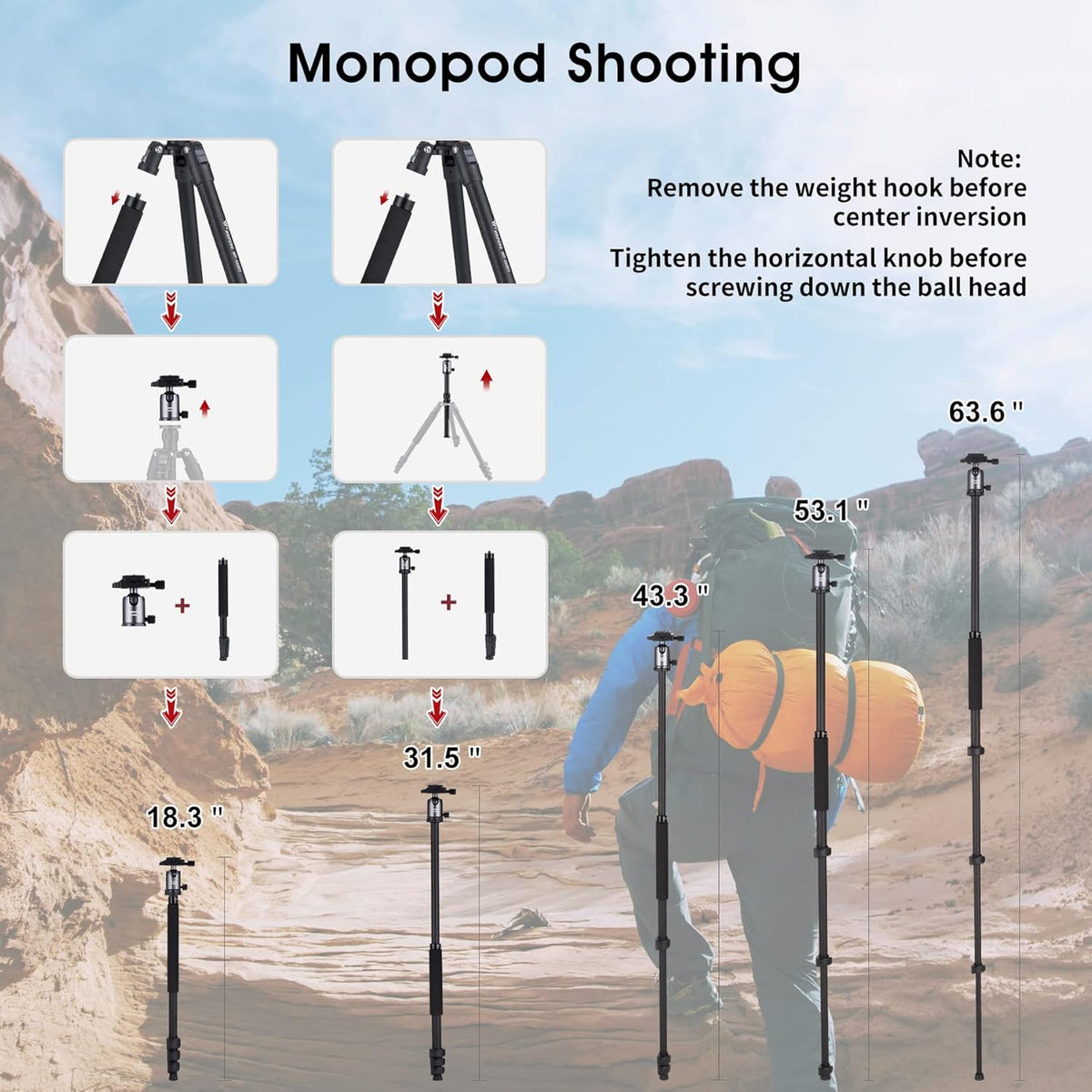 Compact Aluminum Camera Tripod 62 with 360 Degree Ball Head F4010