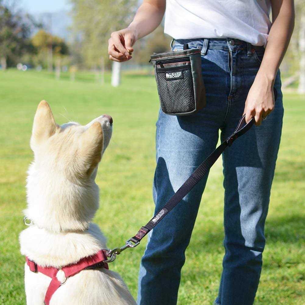 Padded Handle Short Dog Leash C19589