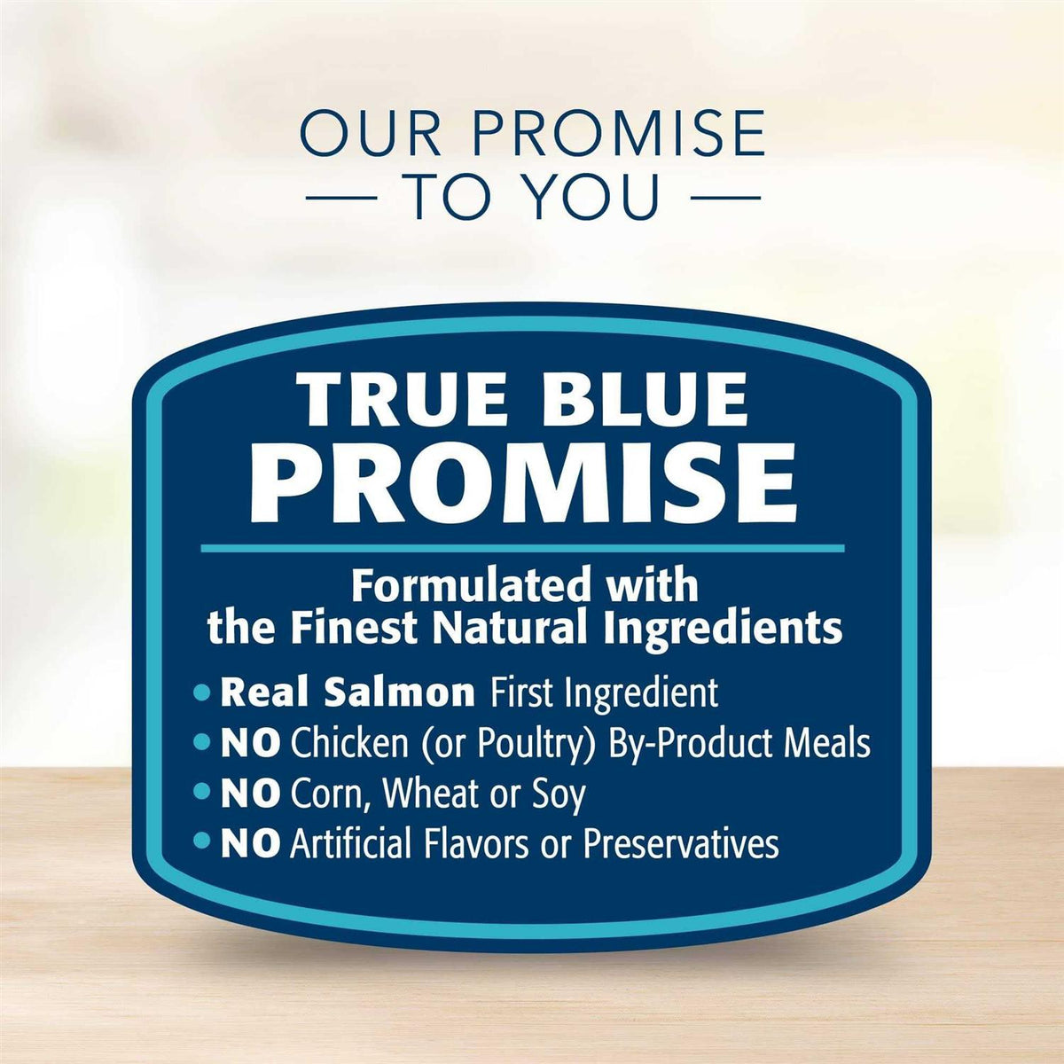 Salmon & Potato Skin Stomach Care Adult Dry Dog Food H679896