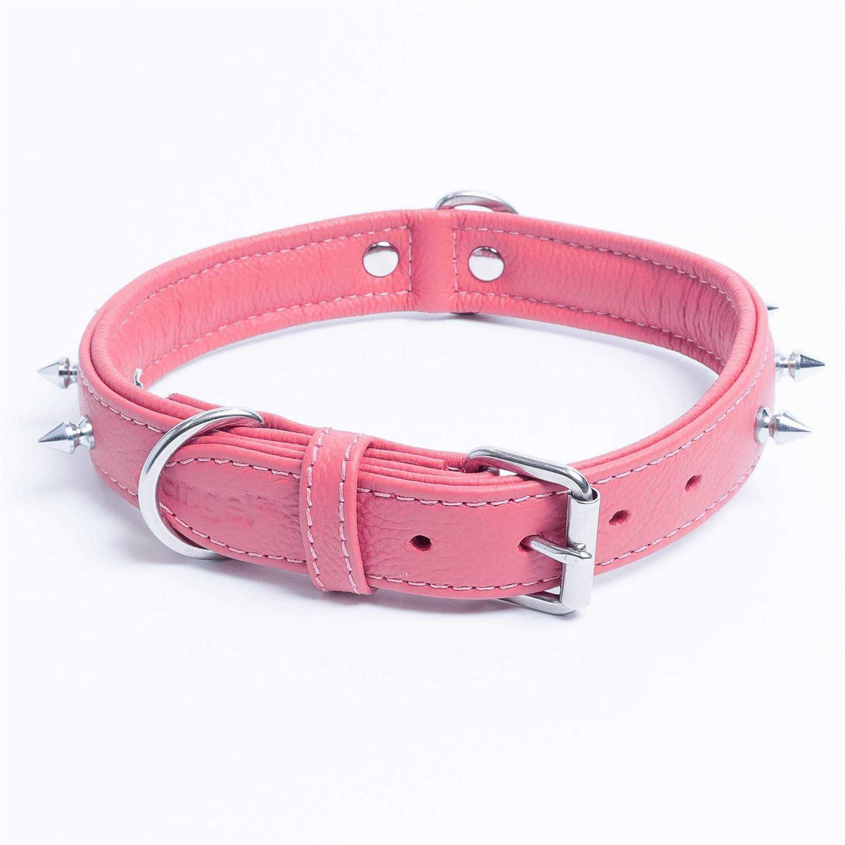 Dog Collar I75423