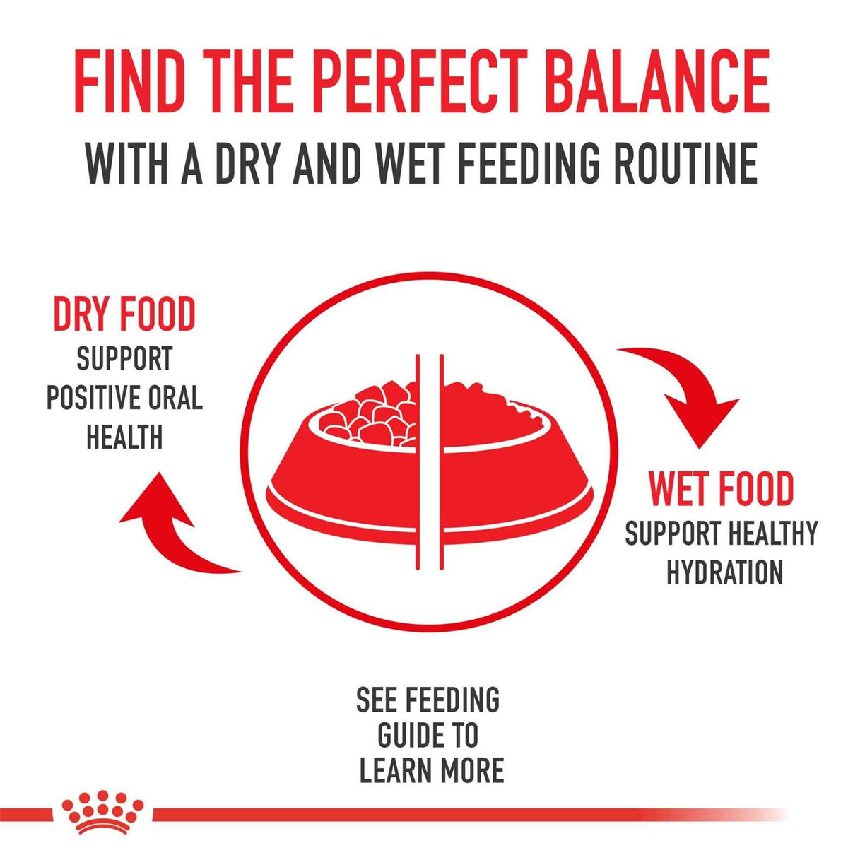 Dry Dog Food K40695
