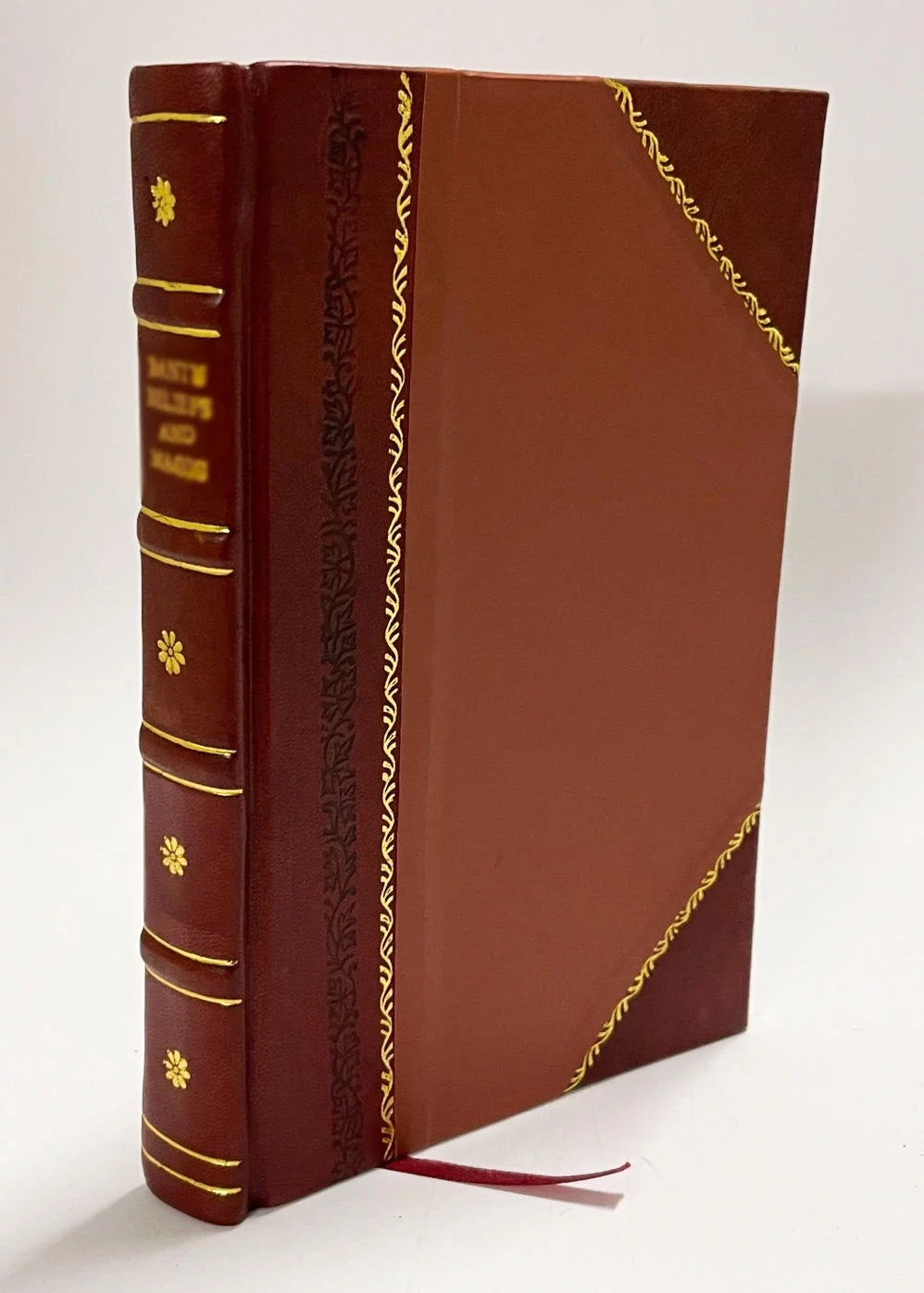International Law Leather Bound N38582