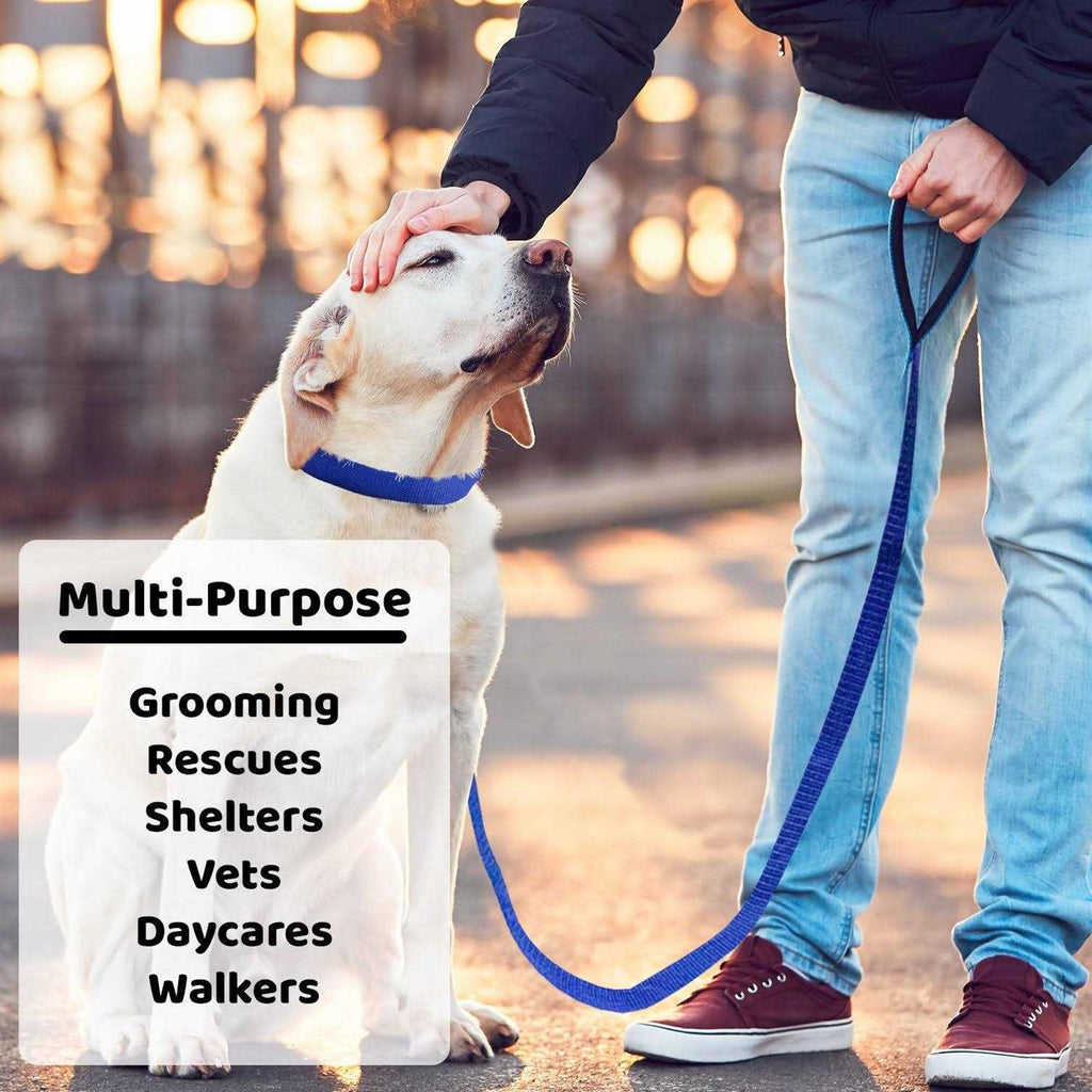 Dog Slip Lead Dog Leash O620763