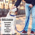 Dog Slip Lead Dog Leash O620763