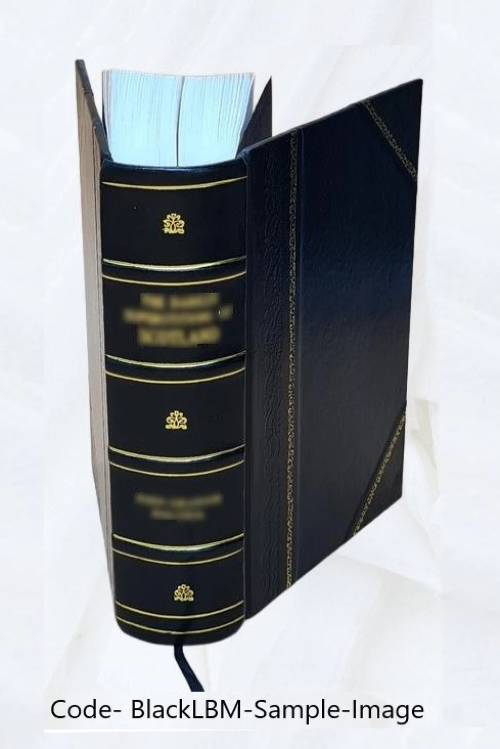 Nineteenth Ohio Battery Volunteer Artillery Leather Bound X714