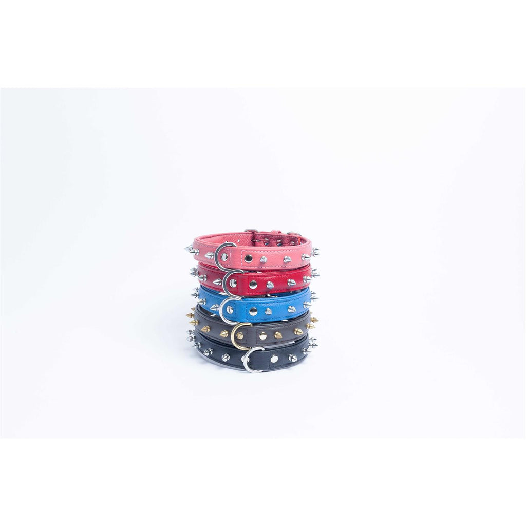 Dog Collar I75423
