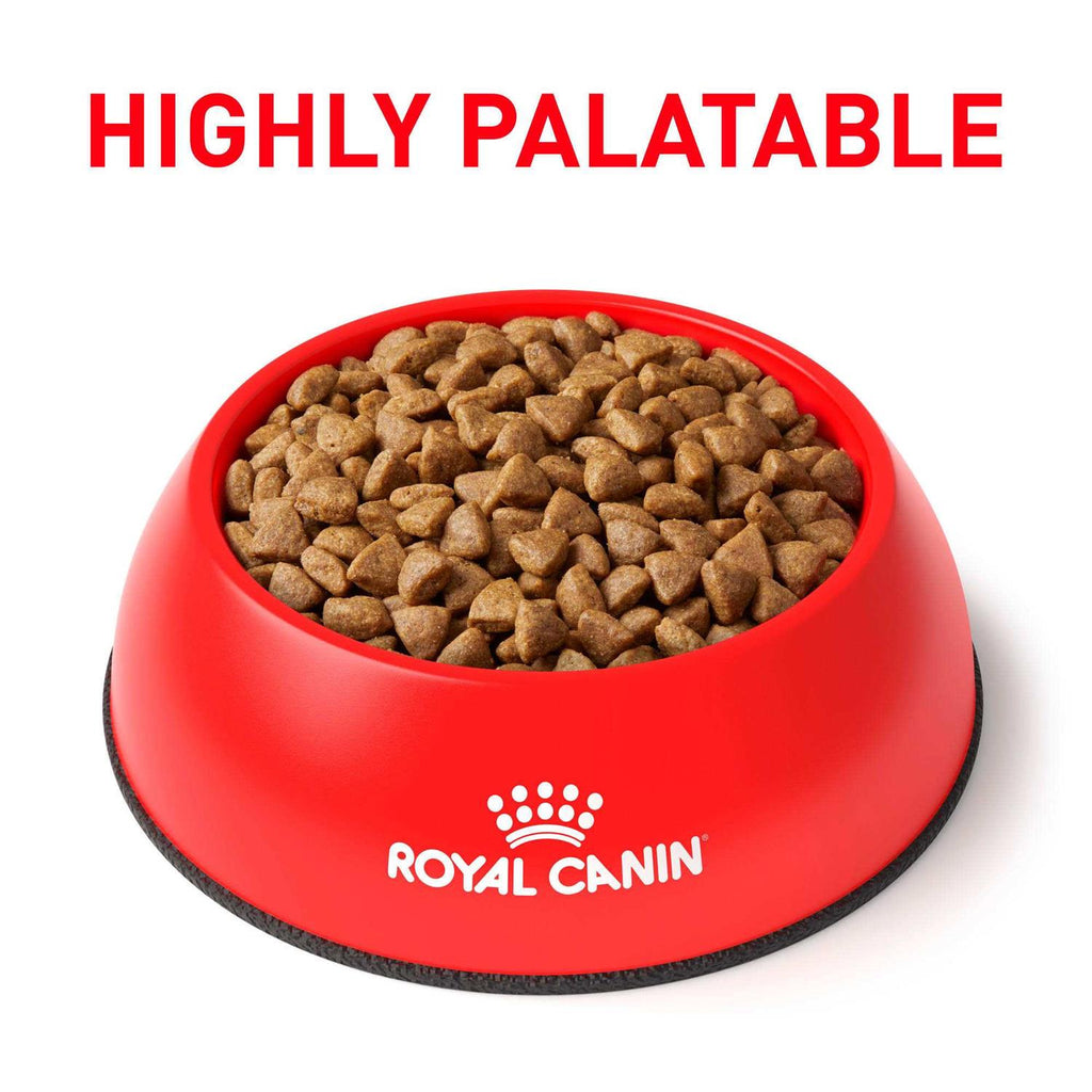 Veterinary Diet Feline Dry Food O865304