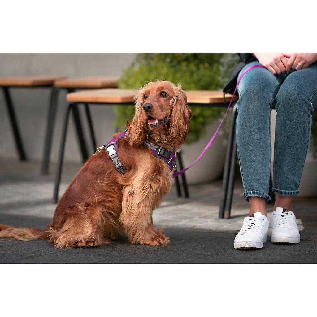 Padded Dog Harness E7694