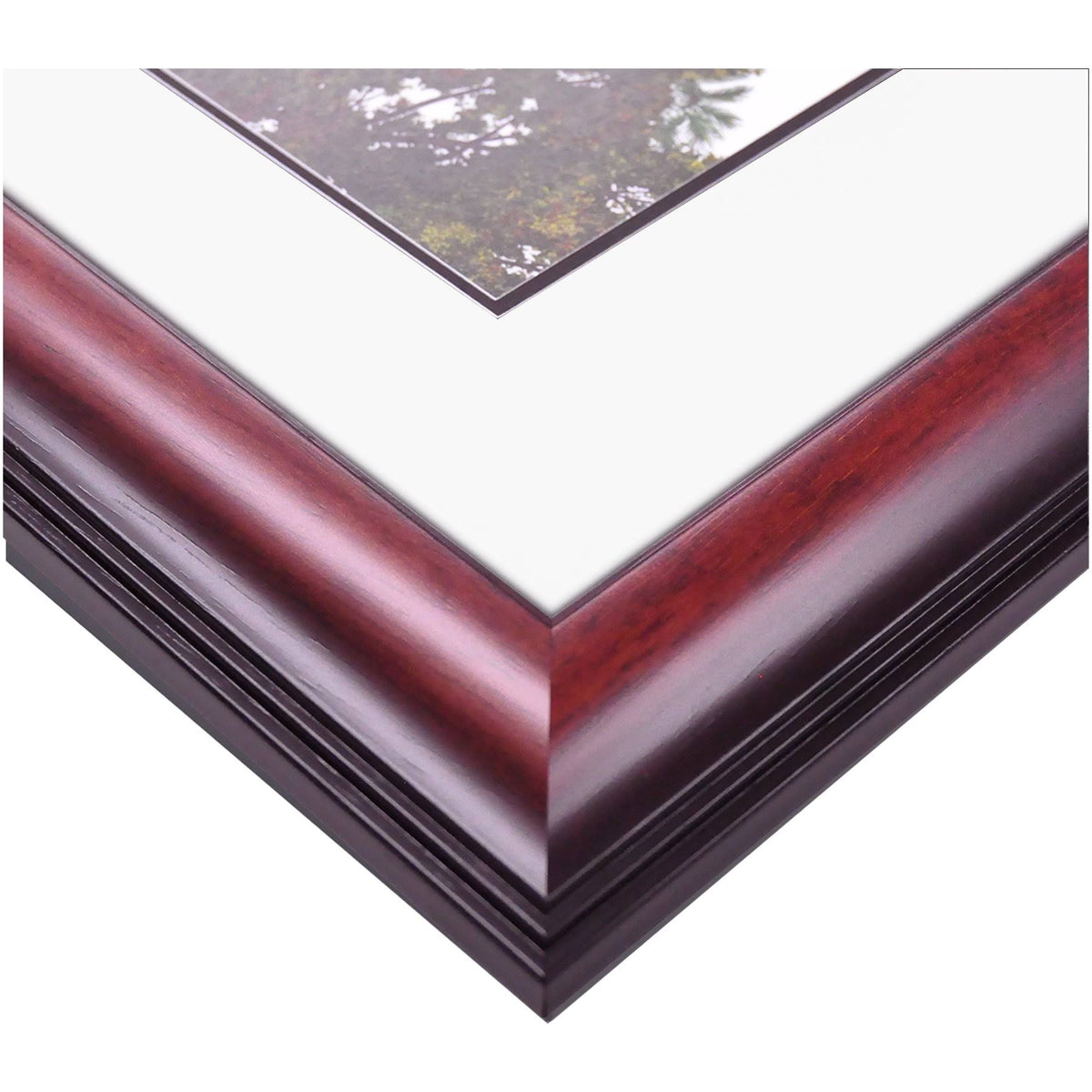 Diploma Frame O989