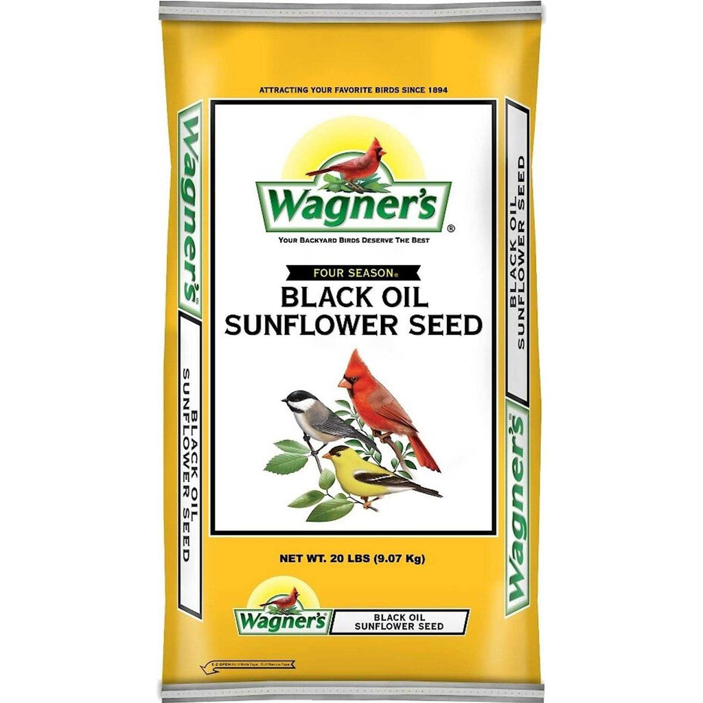 Black Oil Sunflower Seed Z94148