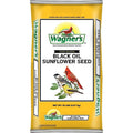 Black Oil Sunflower Seed Z94148