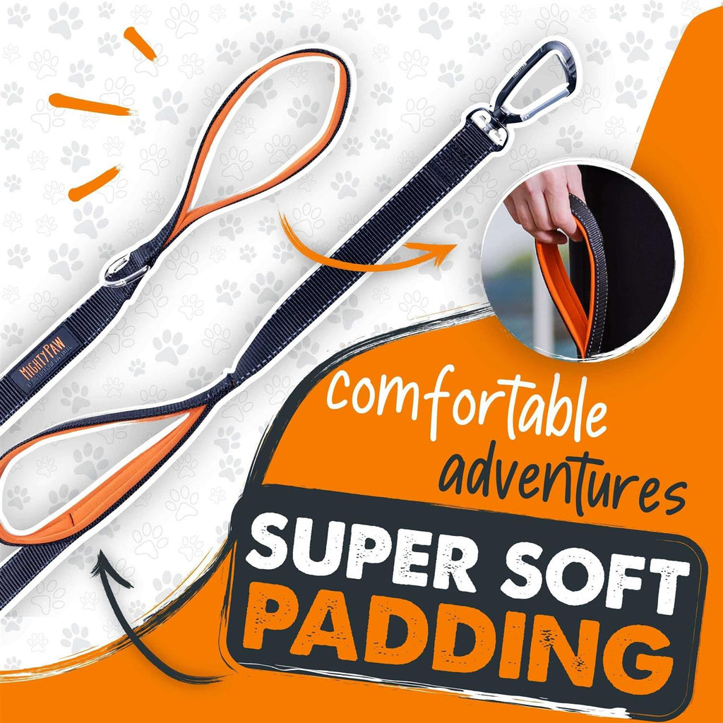 Dual Handle Dog Leash C925
