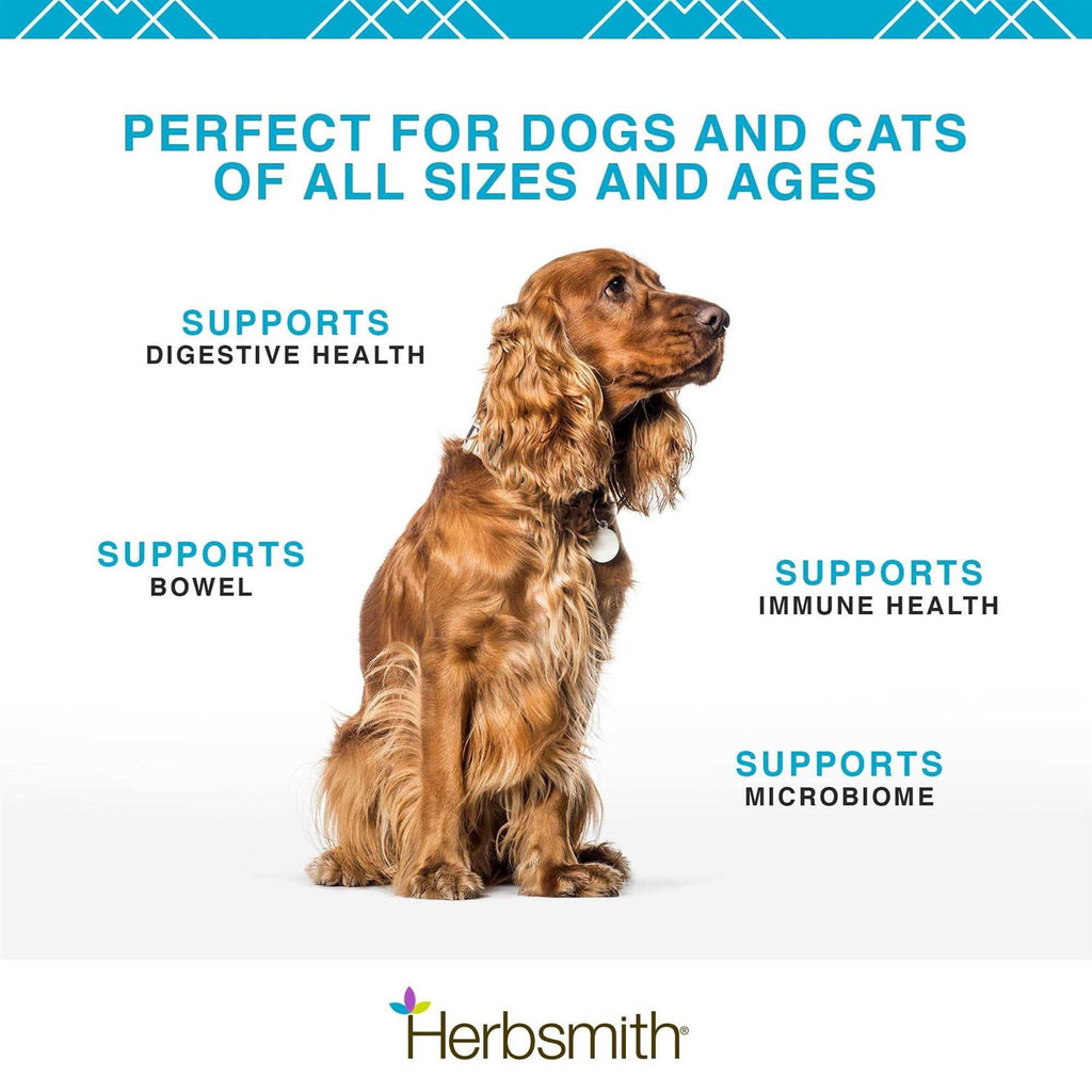 Microflora Plus for Digestion Pet Supplies J7866