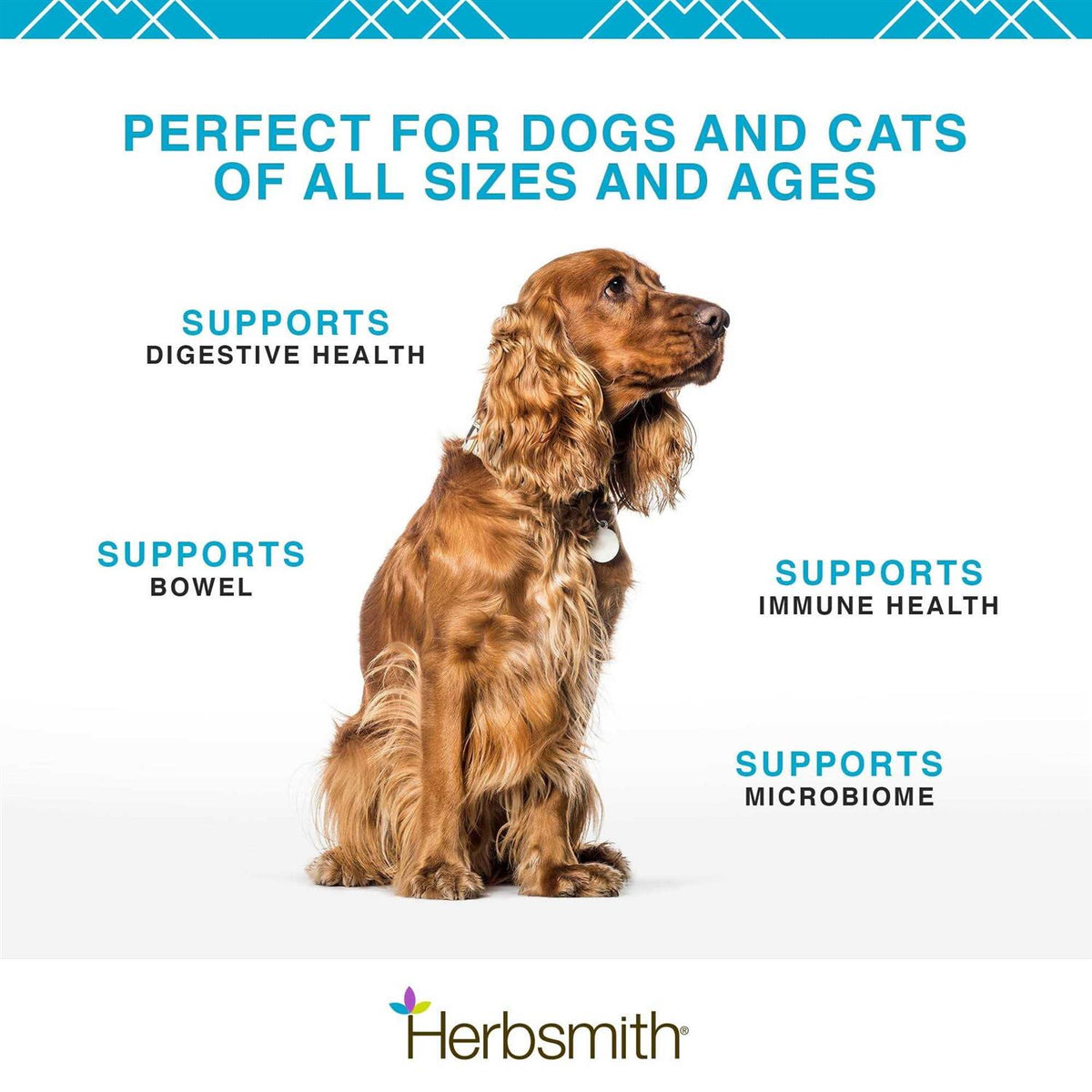 Microflora Plus for Digestion Pet Supplies J7866