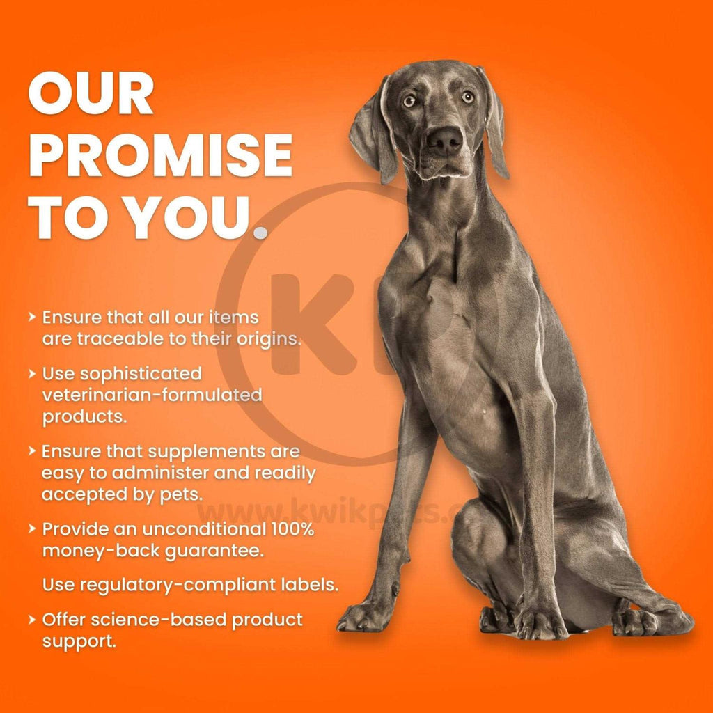 Fish Oil Softgels for Dogs E800318