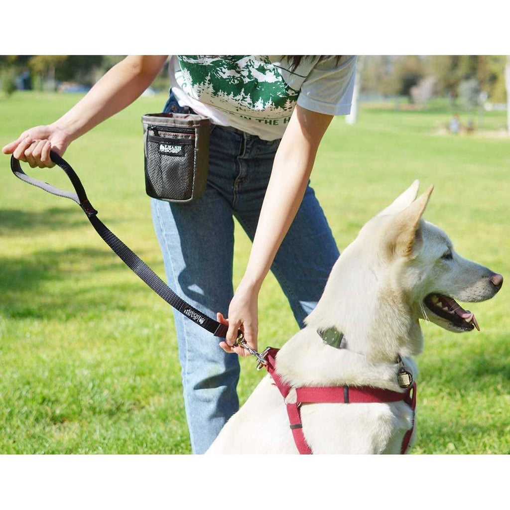 Padded Handle Short Dog Leash C19589