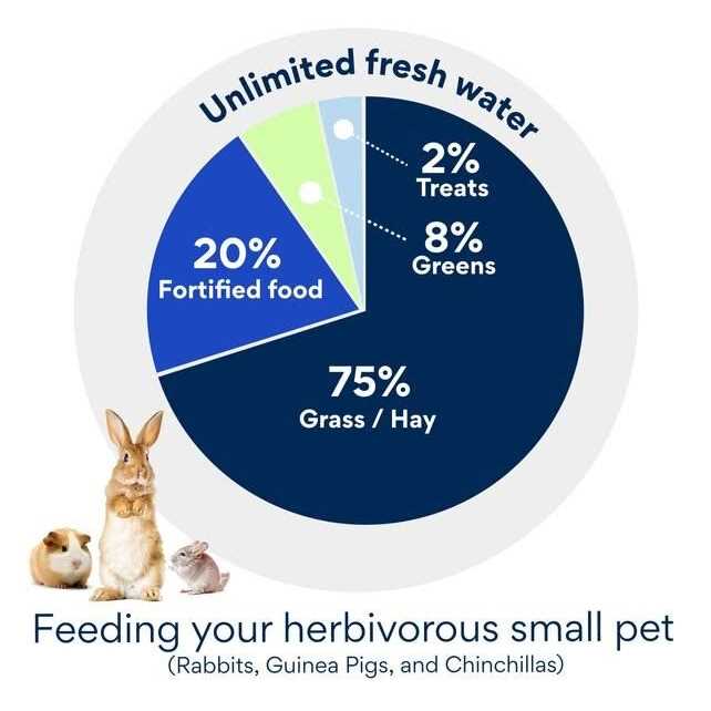 Natural Forage Blend Adult Rabbit Food O55872