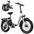 48V 15AH 750W Folding Electric Bike N307437