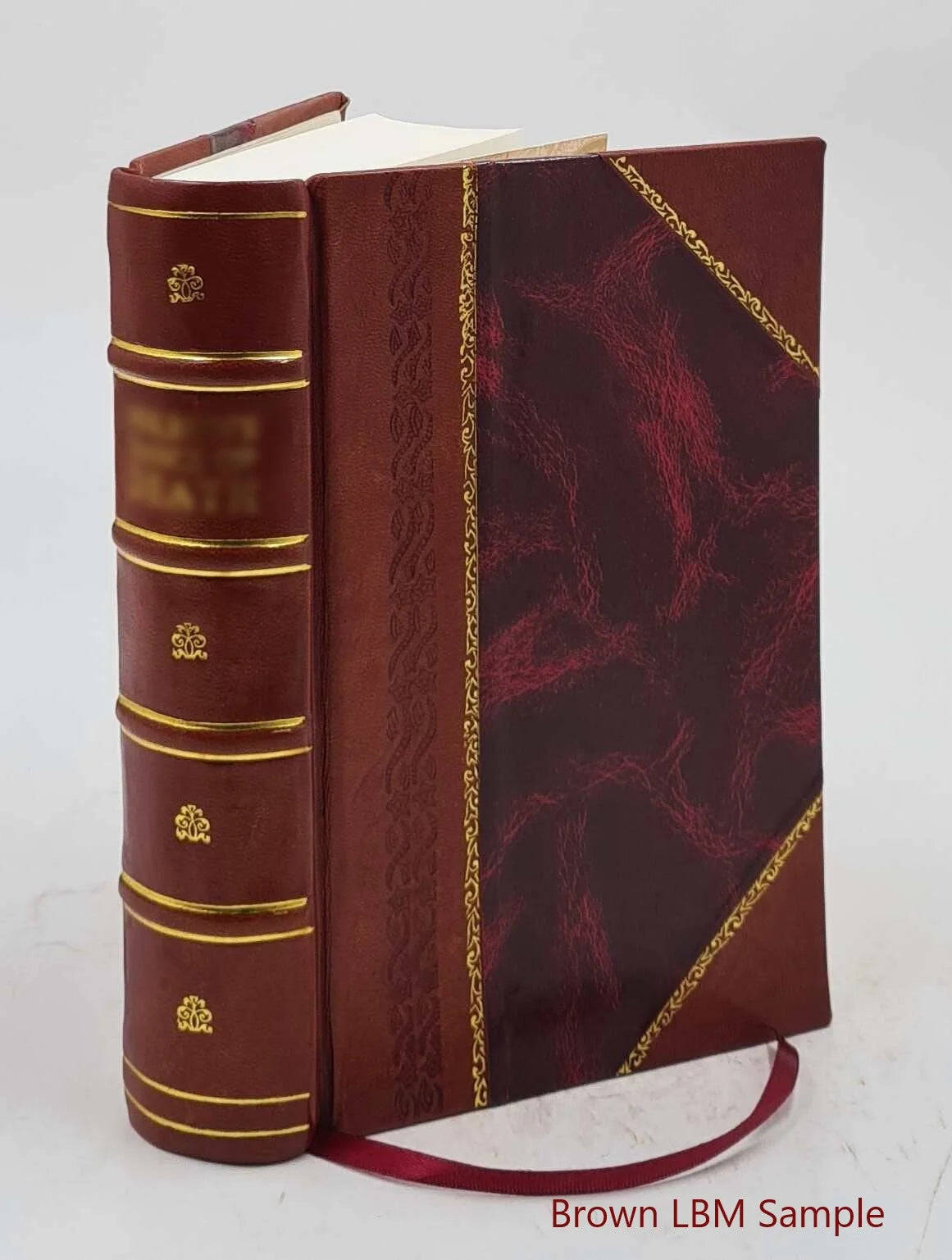 Nineteenth Ohio Battery Volunteer Artillery Leather Bound X714