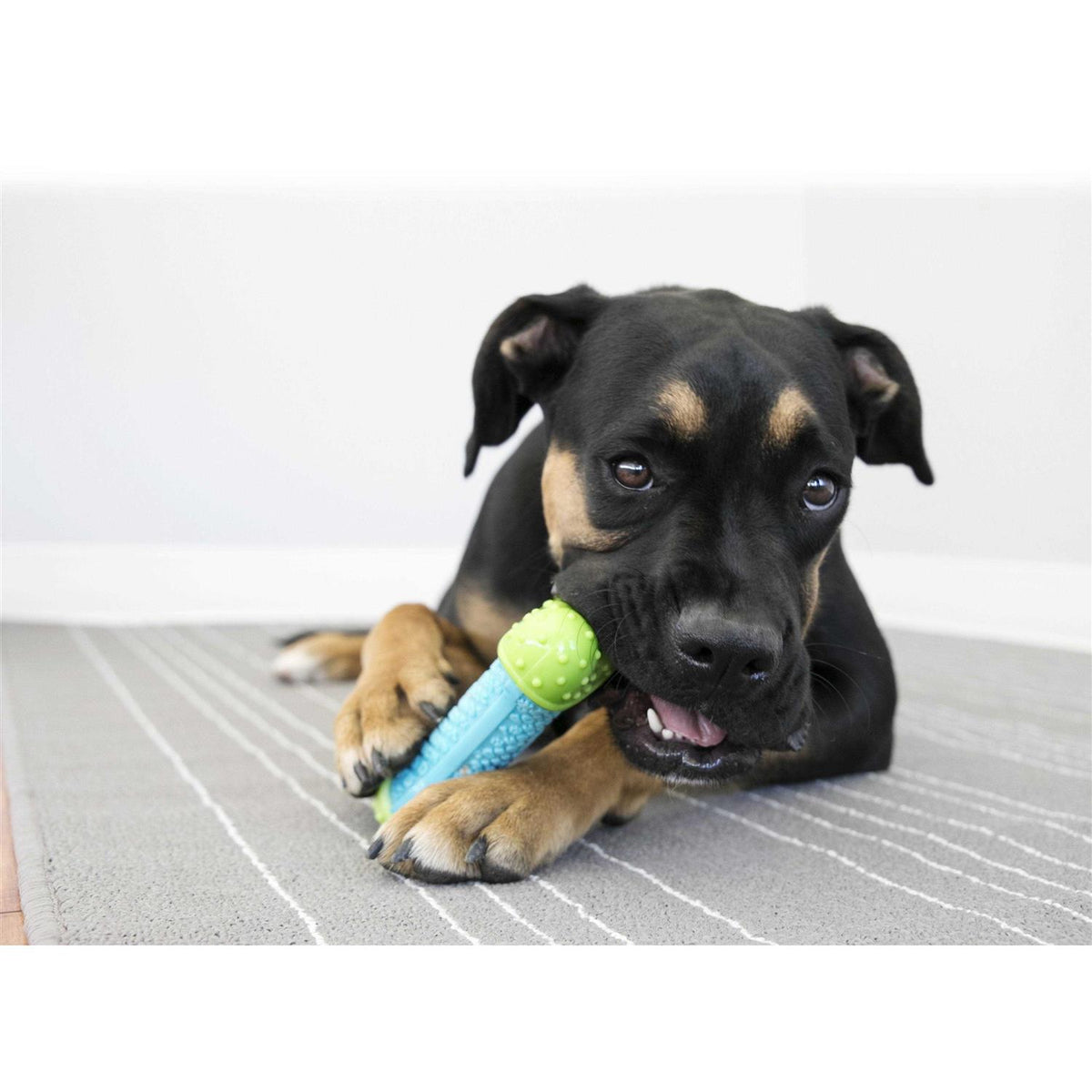 Bone Dog Toy C958976