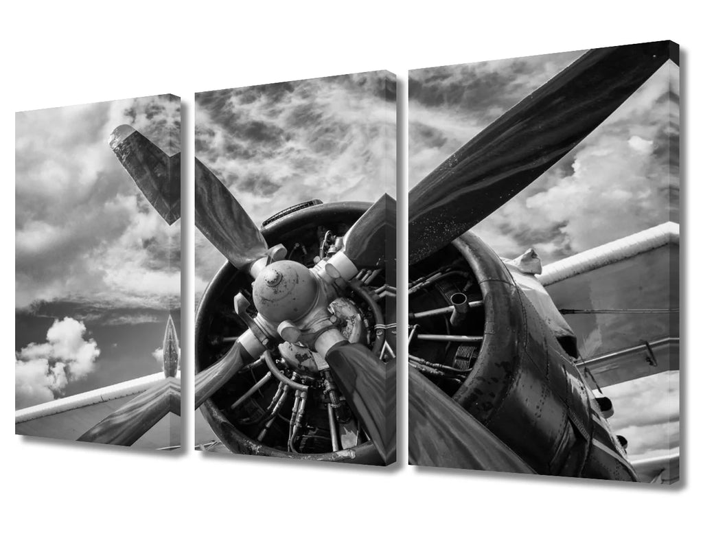 Framed Canvas Wall Art Set M151469