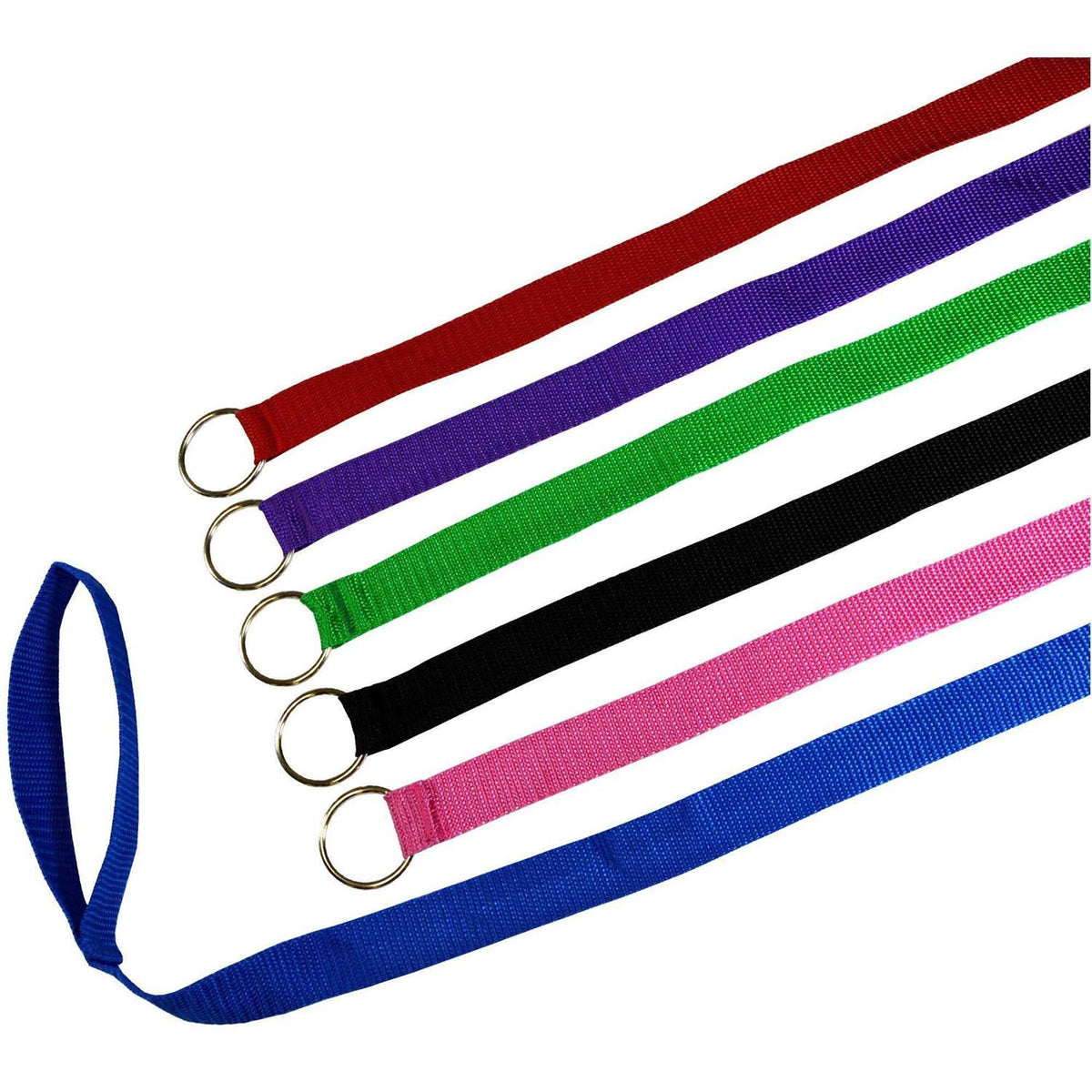 Dog Slip Lead Dog Leash O620763