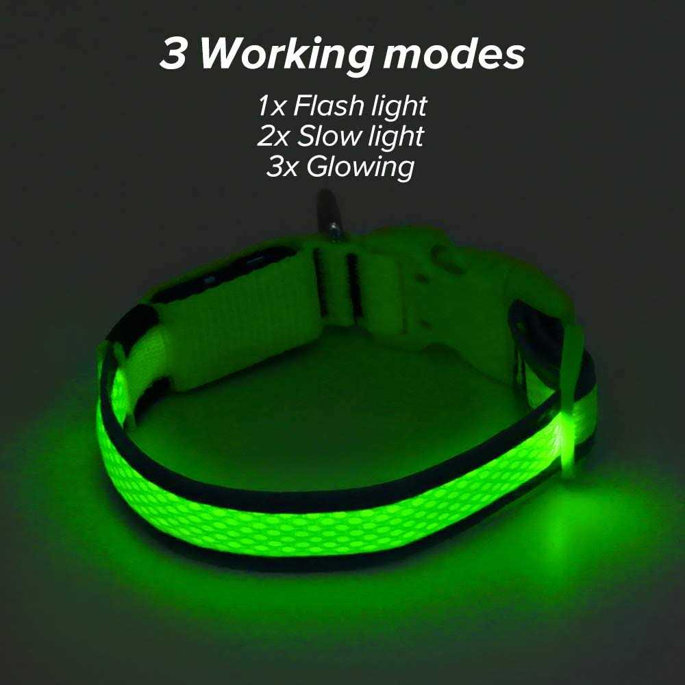 USB Rechargeable LED Dog Collar B969306