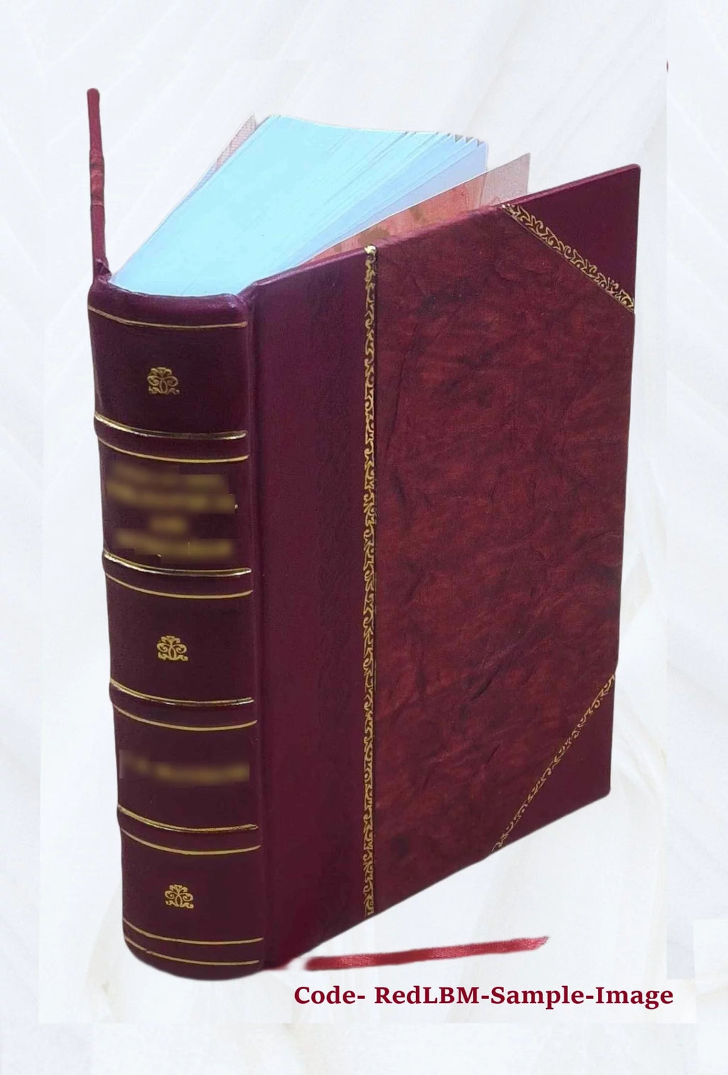 Nineteenth Ohio Battery Volunteer Artillery Leather Bound X714