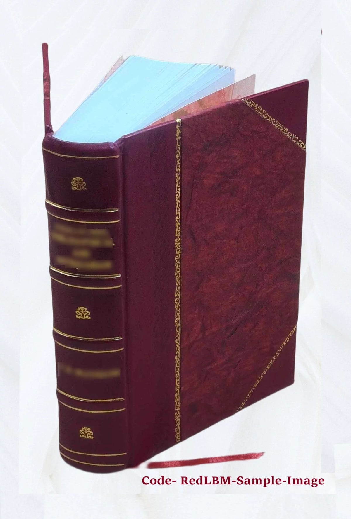 Nineteenth Ohio Battery Volunteer Artillery Leather Bound X714