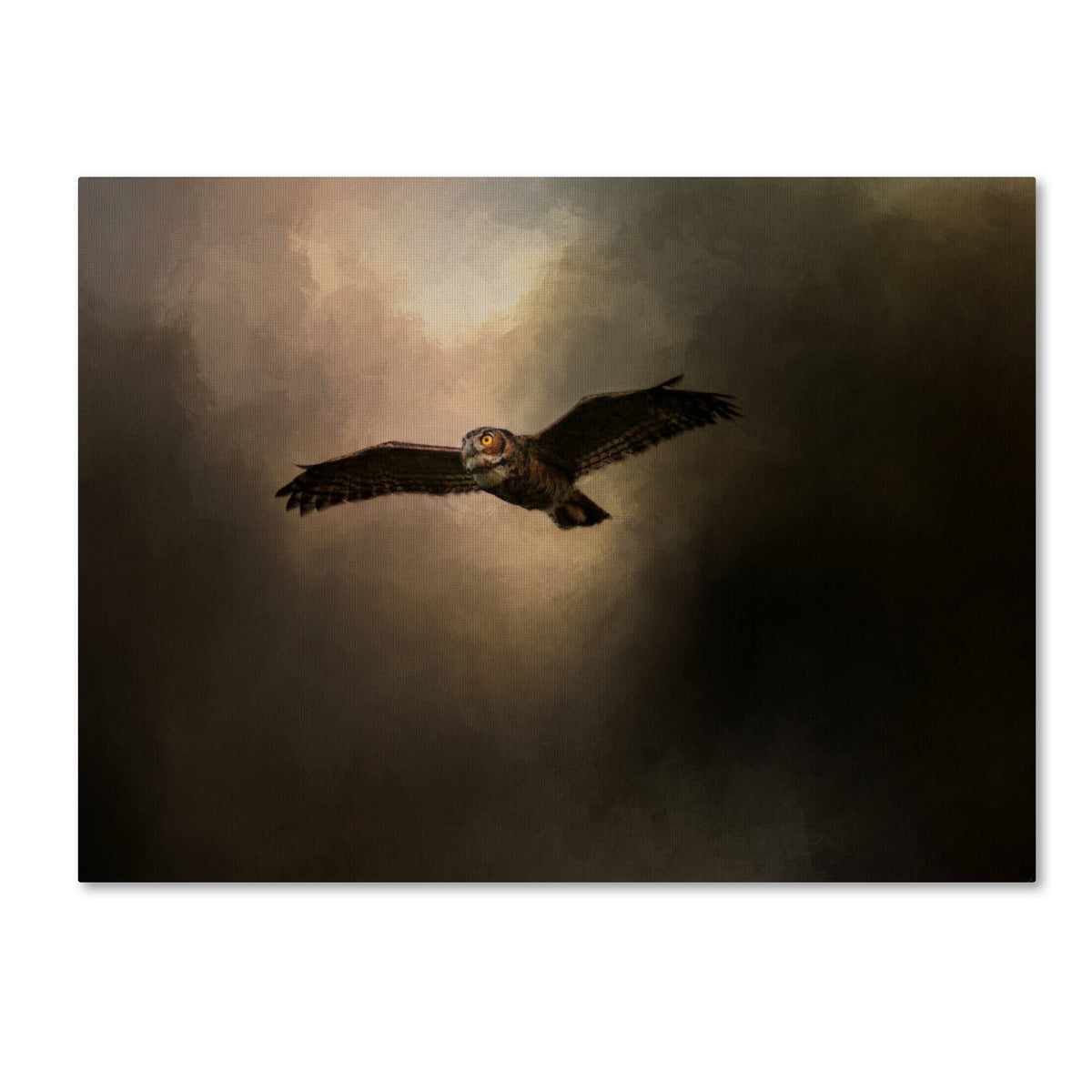 Canvas Art O24256