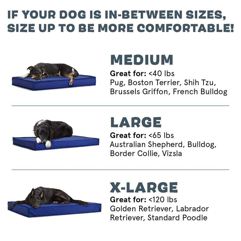 Waterproof Dog or Cat Mattress Bed with Removable Cover M2677