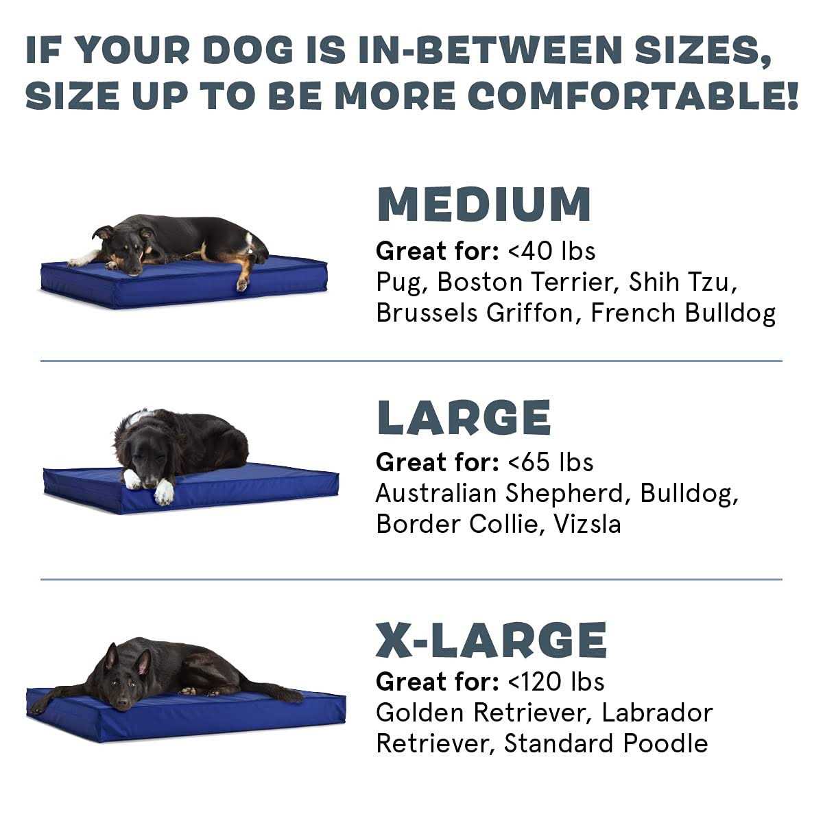 Waterproof Dog or Cat Mattress Bed with Removable Cover M2677