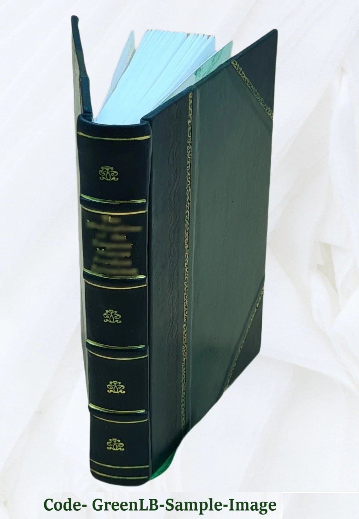 Libros de caballerías Leather Bound V3349